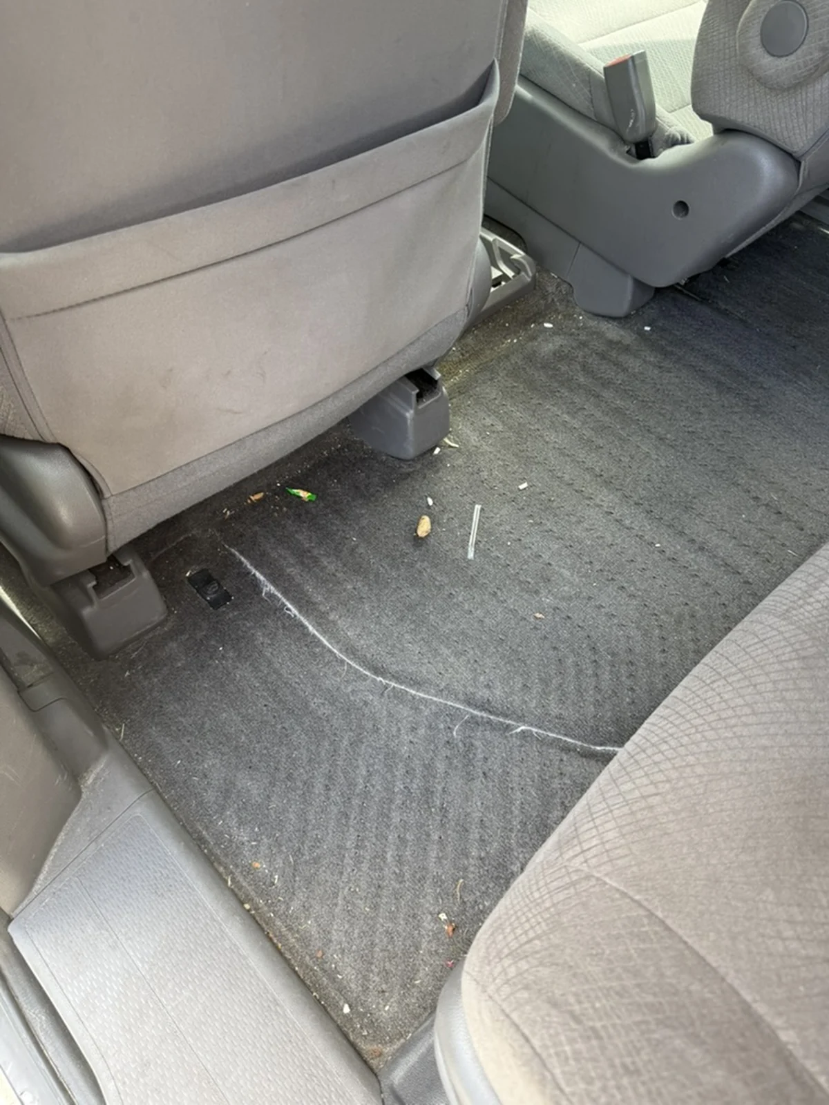Honda Odyssey exposed second-row carpet before detailing, with visible crumbs and debris