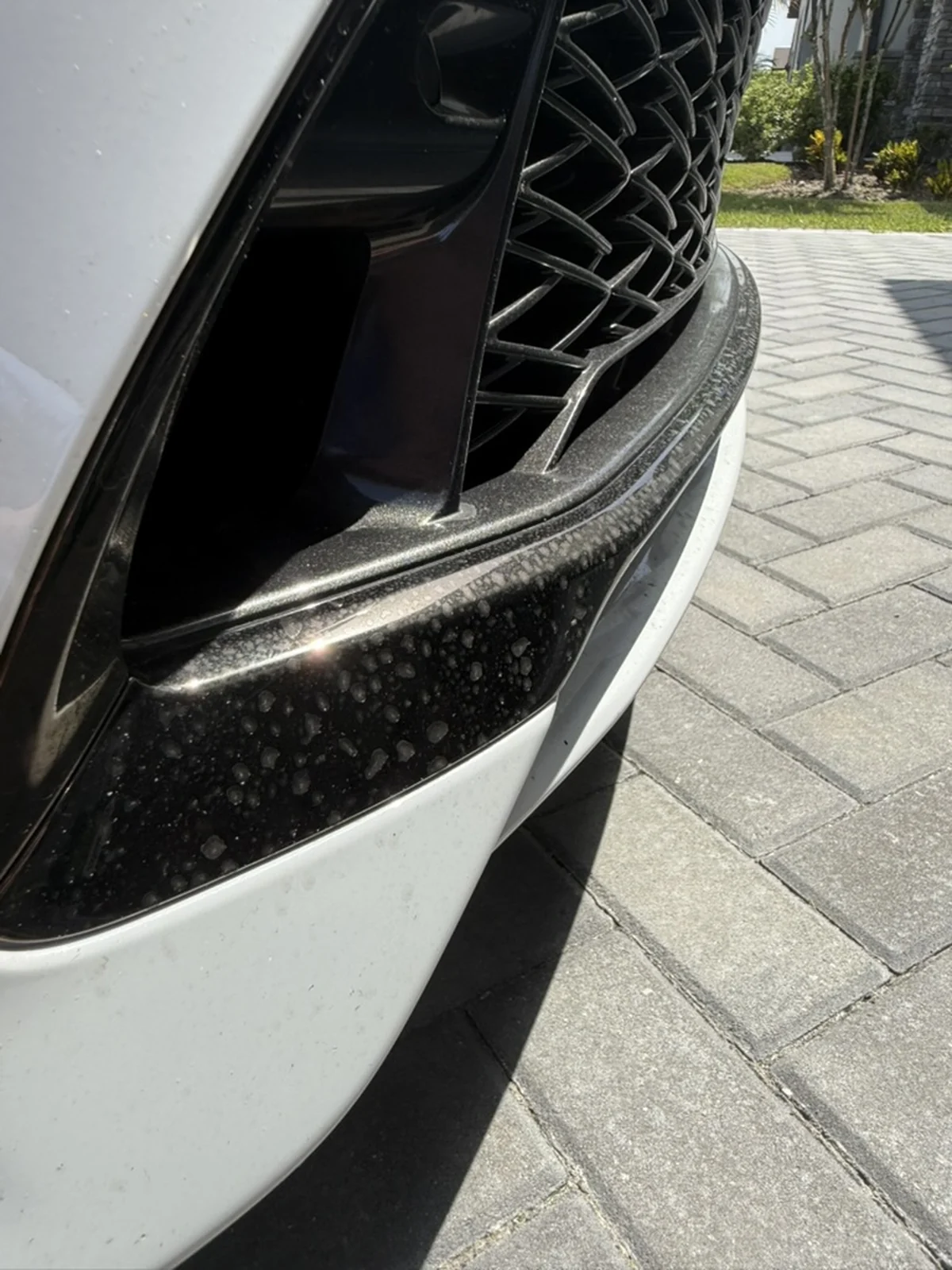 Lexus RC 350 front grille trim before detailing, covered with water spots